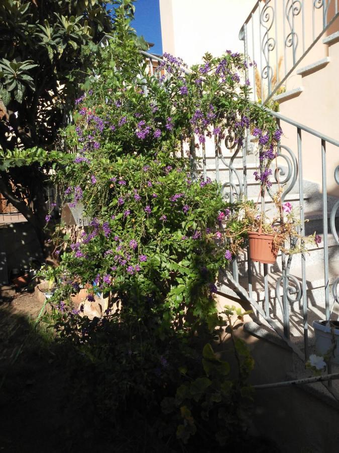 B&B Sos Manneddos Posada  Exterior photo